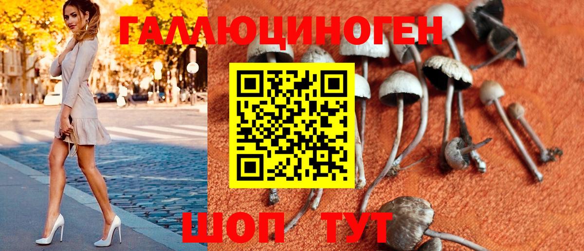 наркошоп  Вход с VPN  Кимовск  Галлюциногенные грибы Psilocybe 