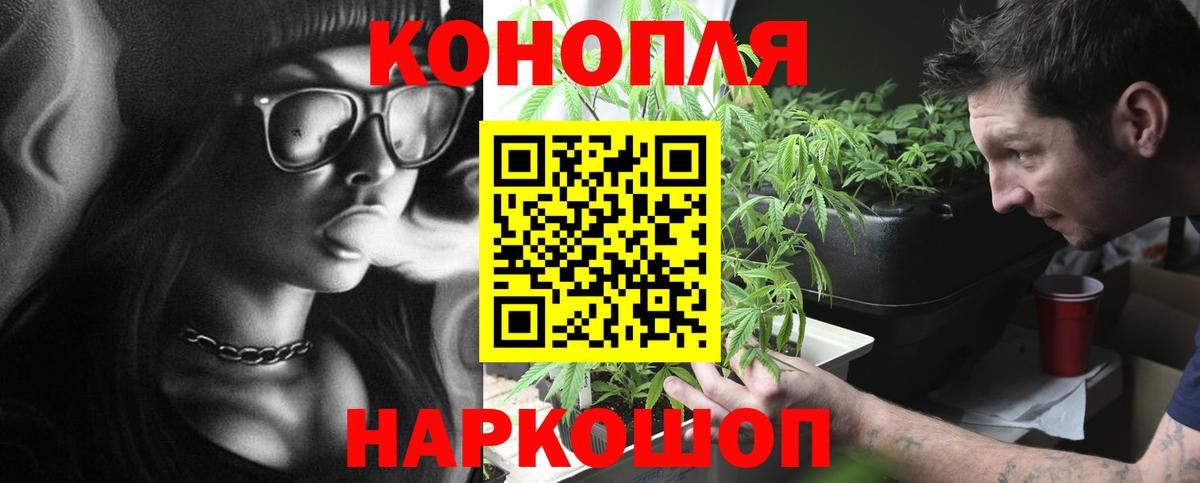 Бошки марихуана ГИДРОПОН Кимовск